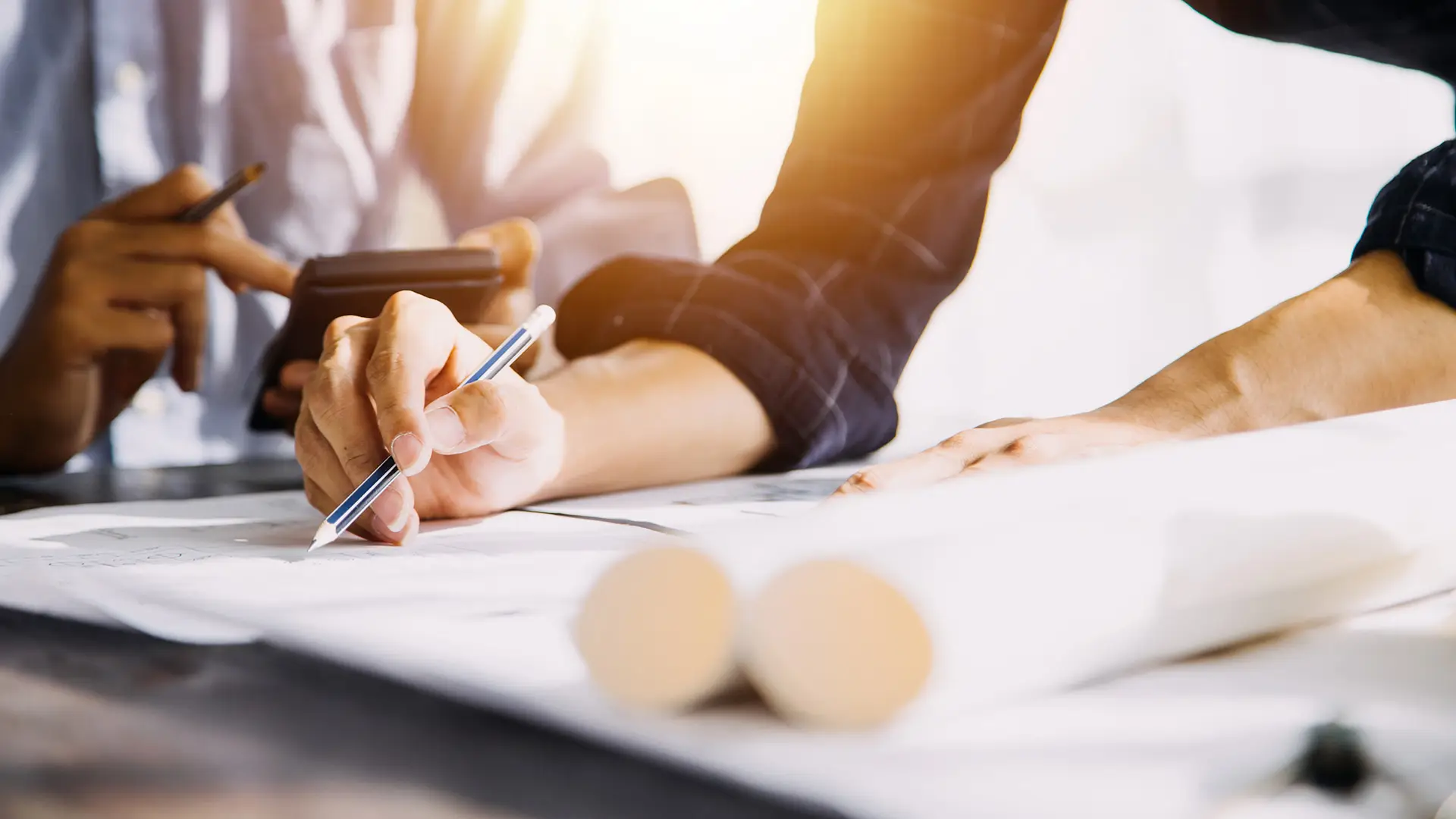insertion professionnel
